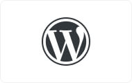 Icon Wordpress